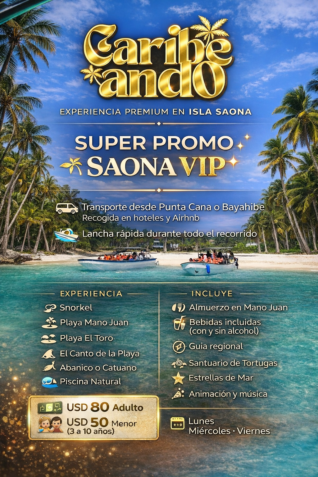 Super Saona VIP