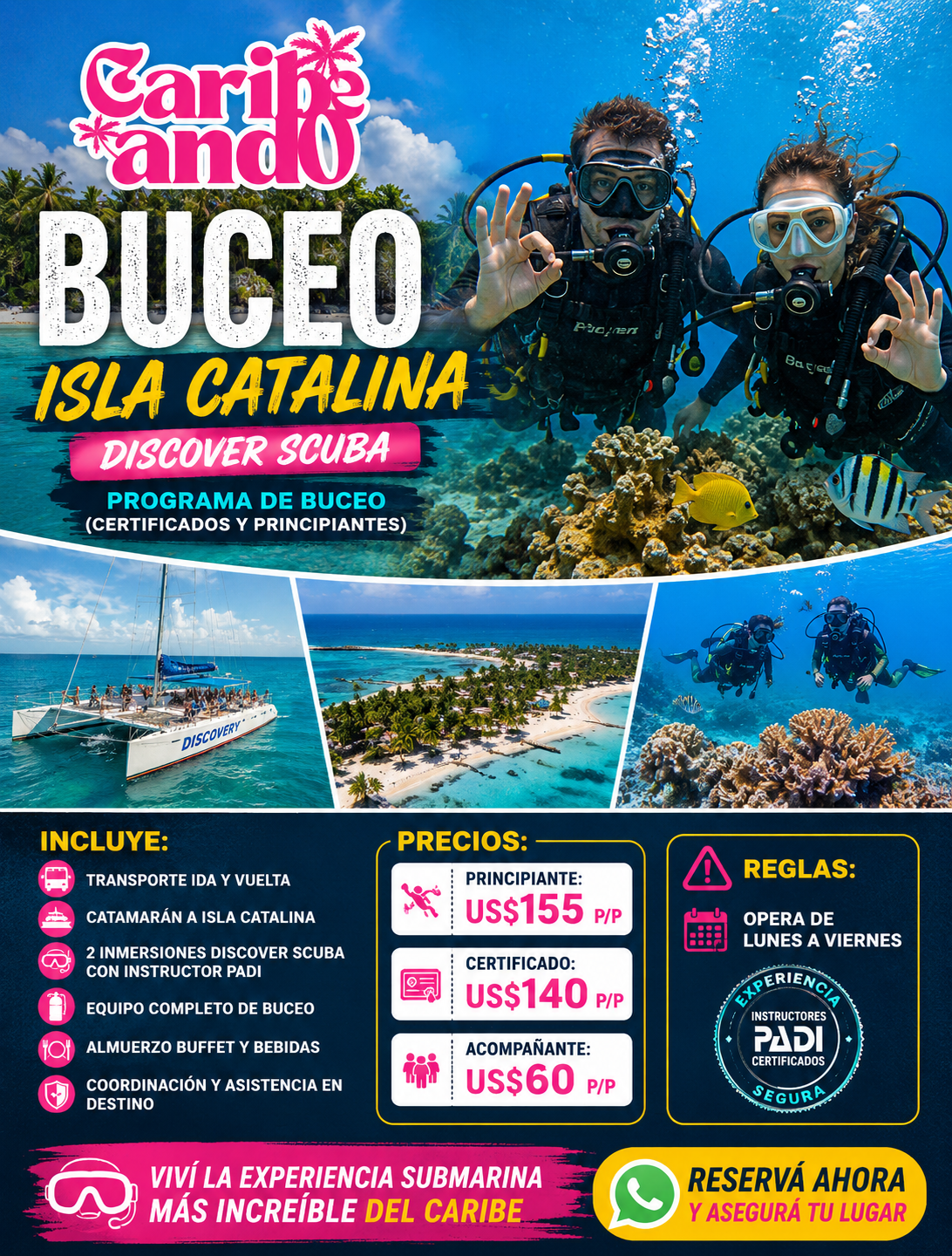 Buceo en Isla Catalina (Certificados y Principiantes)